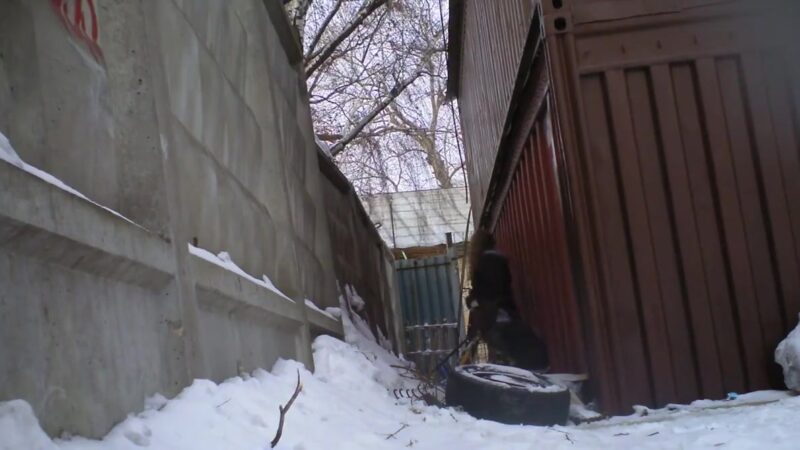 spy pissing russian teen 18+ in the nature
